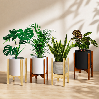Mid-Century Modern Wood Plant Stand